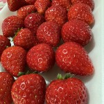 🍓🍓こだわりぬいた真っ赤な完熟いちご🍓🍓